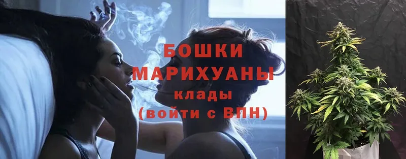 Каннабис Bruce Banner  Ставрополь 